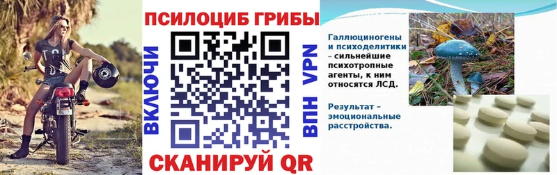 Псилоцибиновые грибы Cubensis  Краснотурьинск 