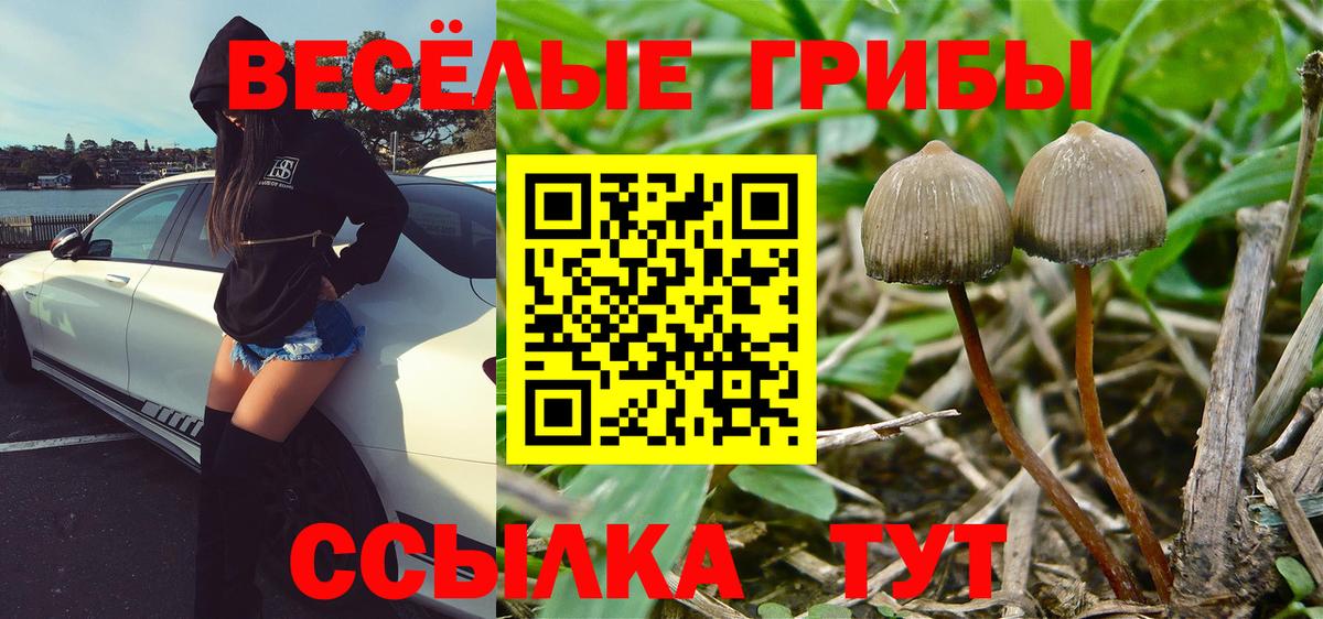 Псилоцибиновые грибы мухоморы Краснотурьинск